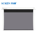 TI Series – Hidden Ceiling Fresnel ALR Screen for Long Throw | Seamless Integration, Elevated Visuals